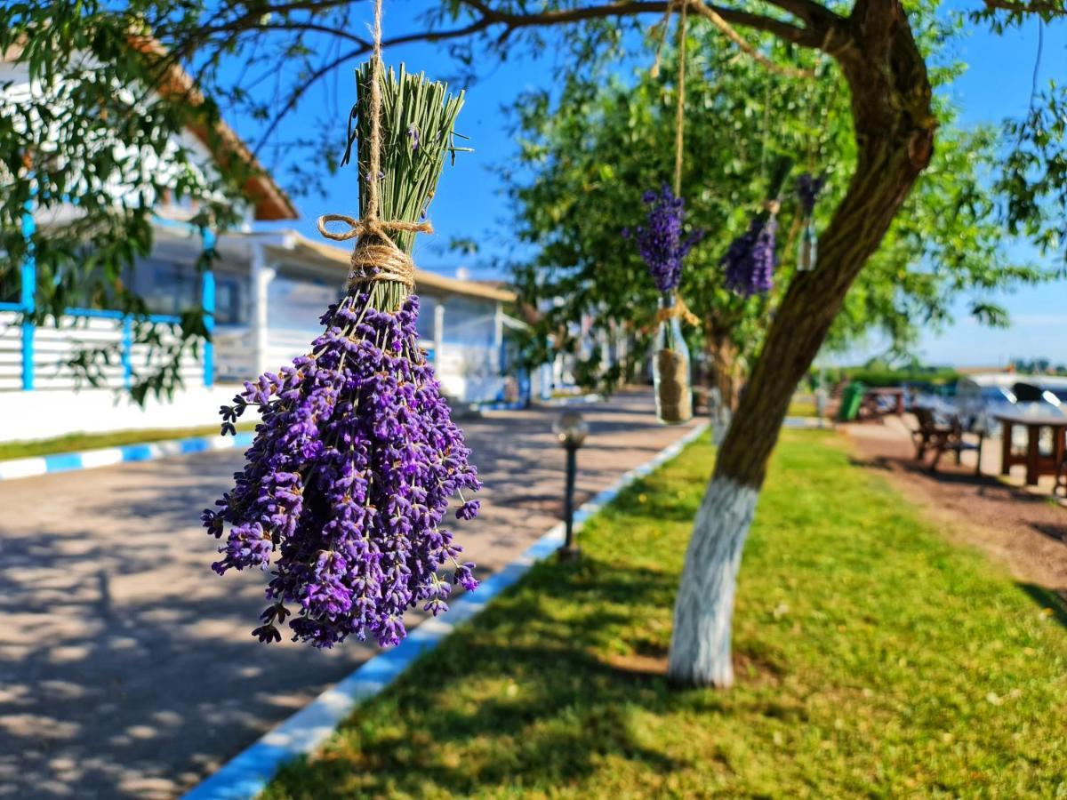 Casa Pescarilor Hotel Lunca  Kültér fotó